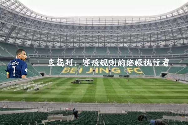 主裁判:赛场规则的终极执行者